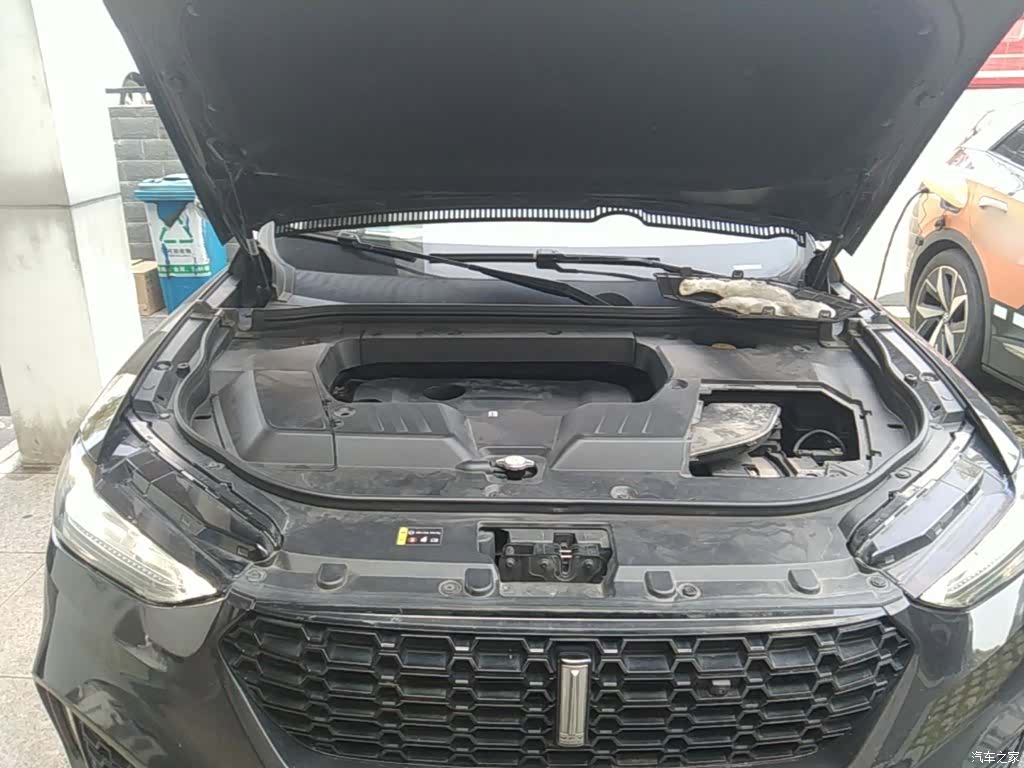 WEY VV6, 2019 20