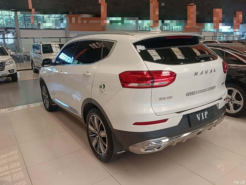 Haval H6, 2021 все фото