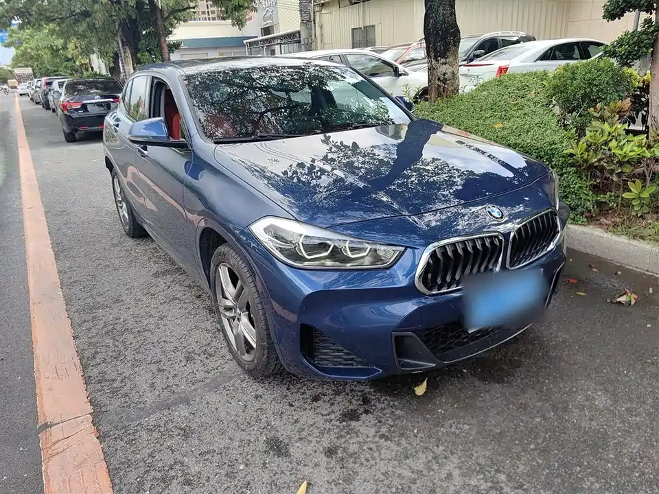 BMW X2