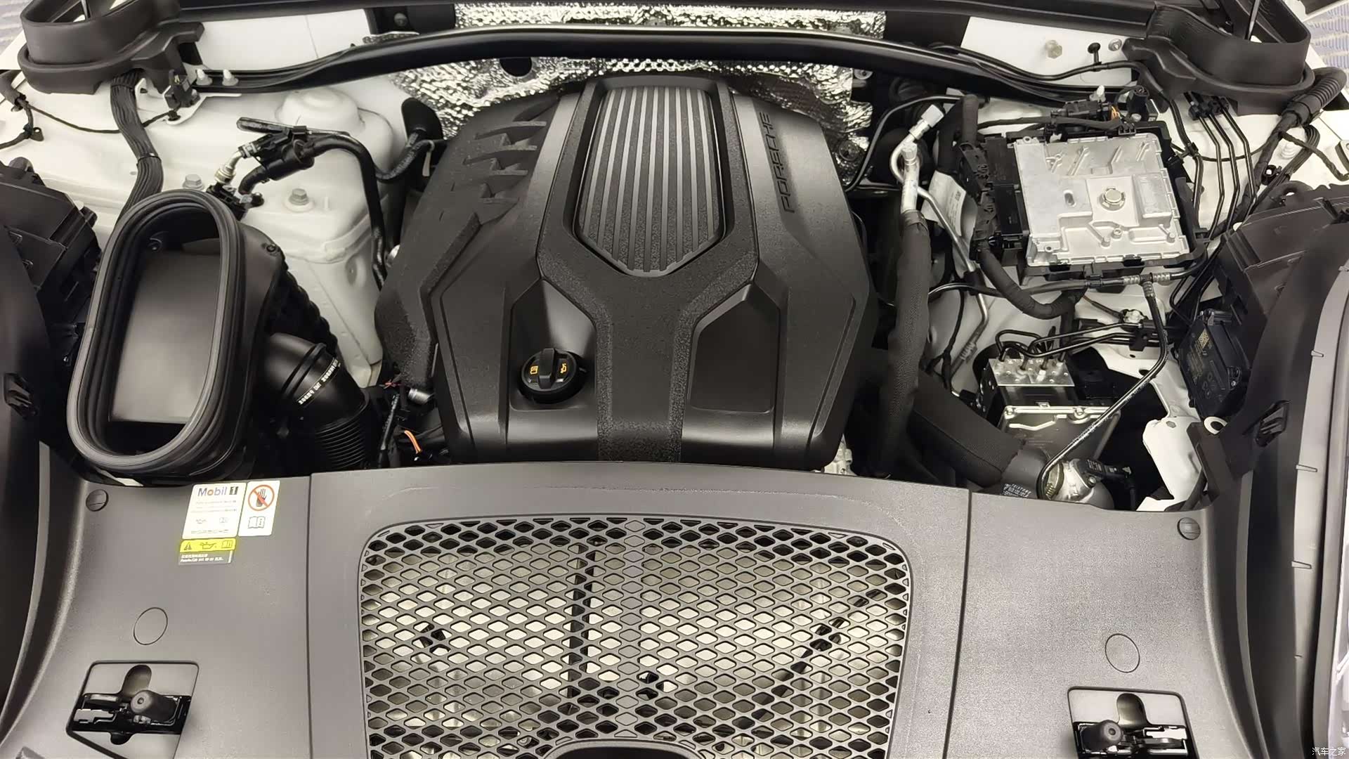 Macan Macan, 2020 16