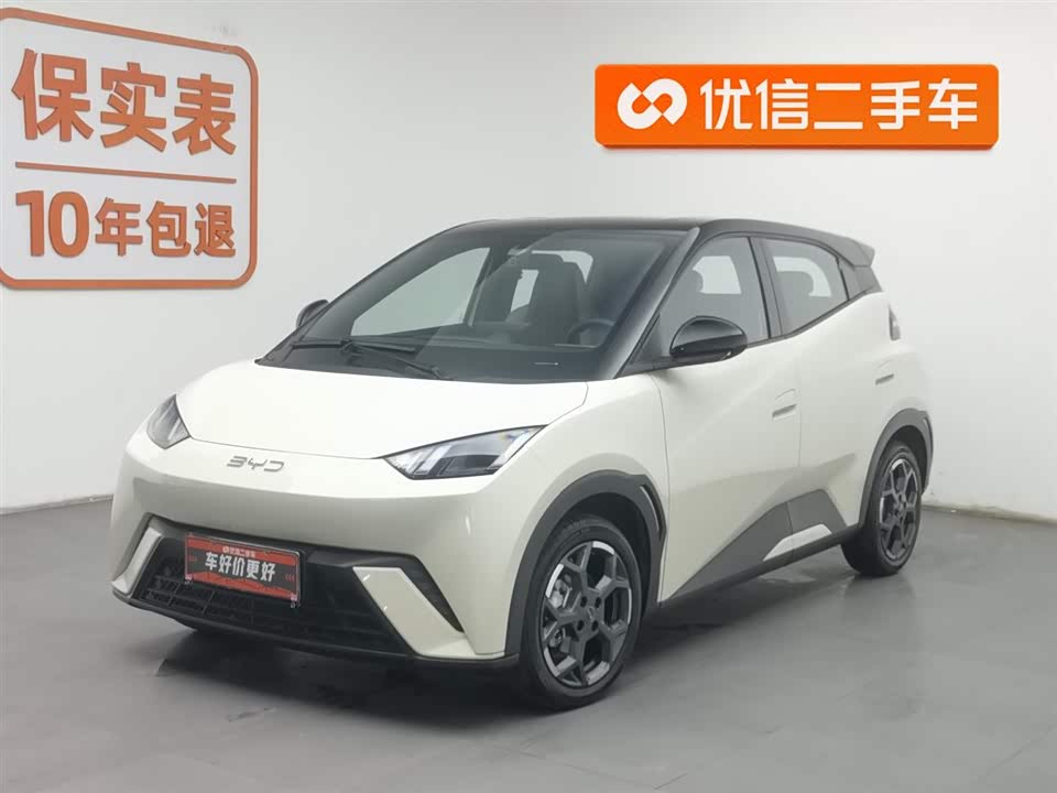 BYD Seagull