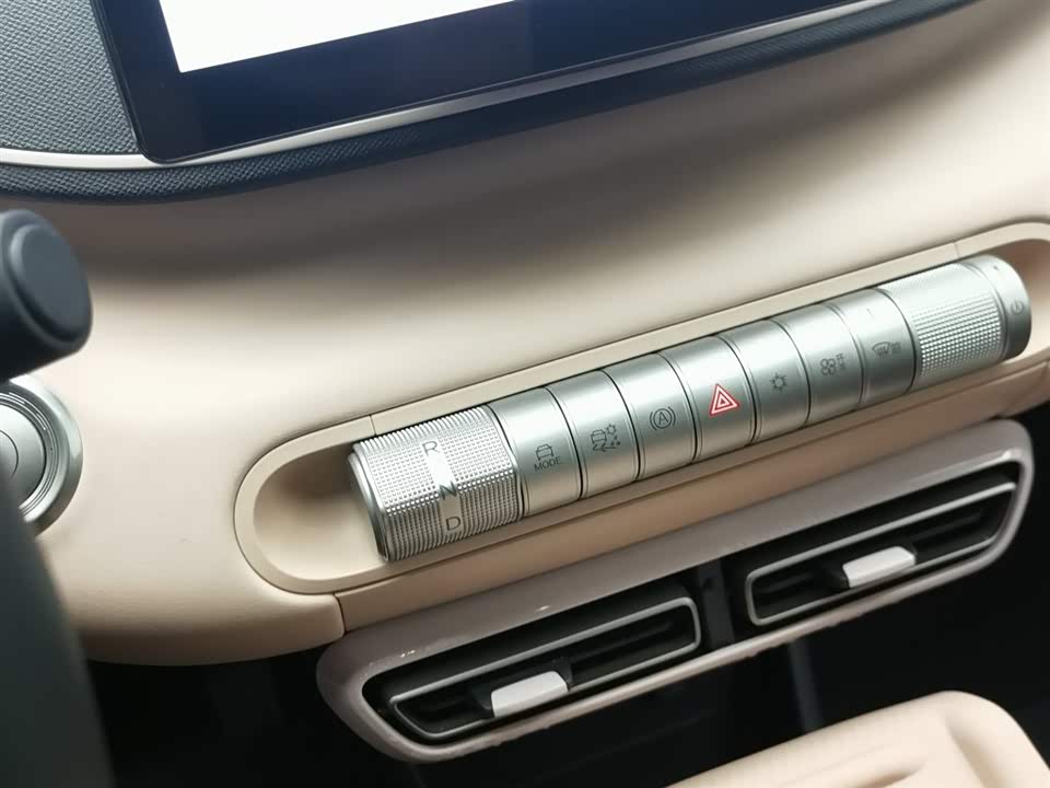 BYD Seagull