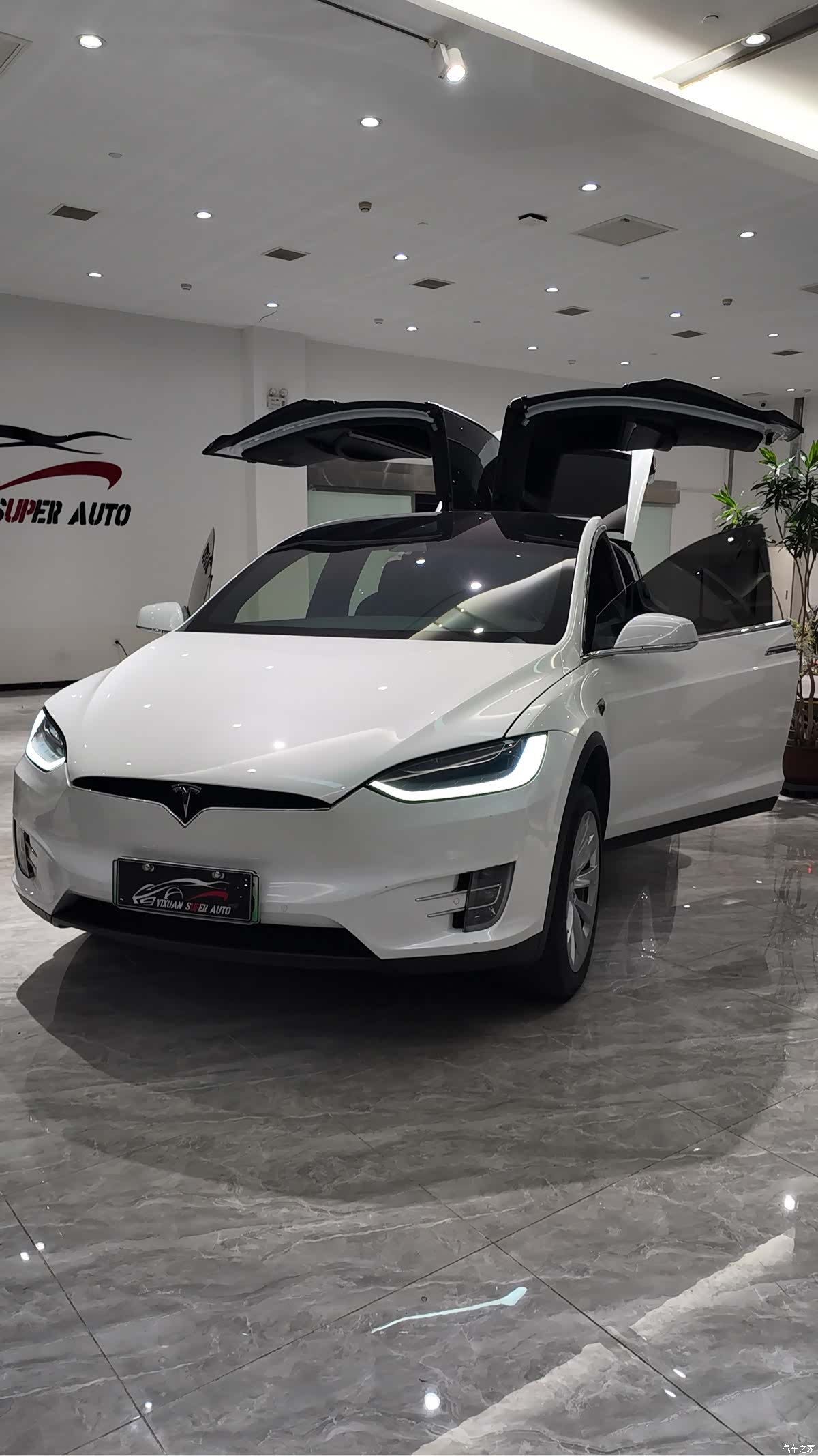 Tesla Model X, 2020 все фото