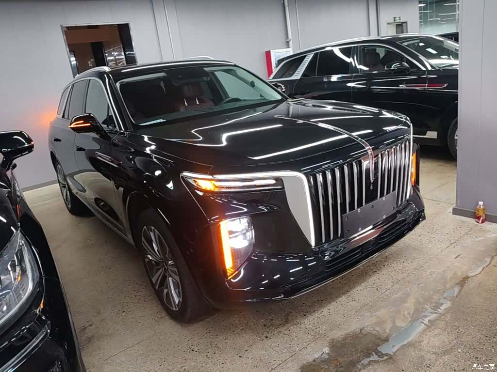 Hongqi E-HS9, 2023 4