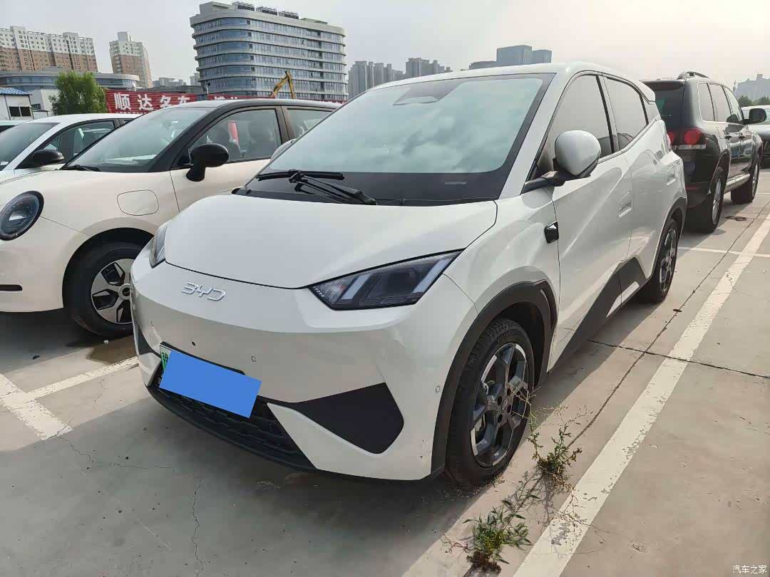 BYD Seagull, 2025 1