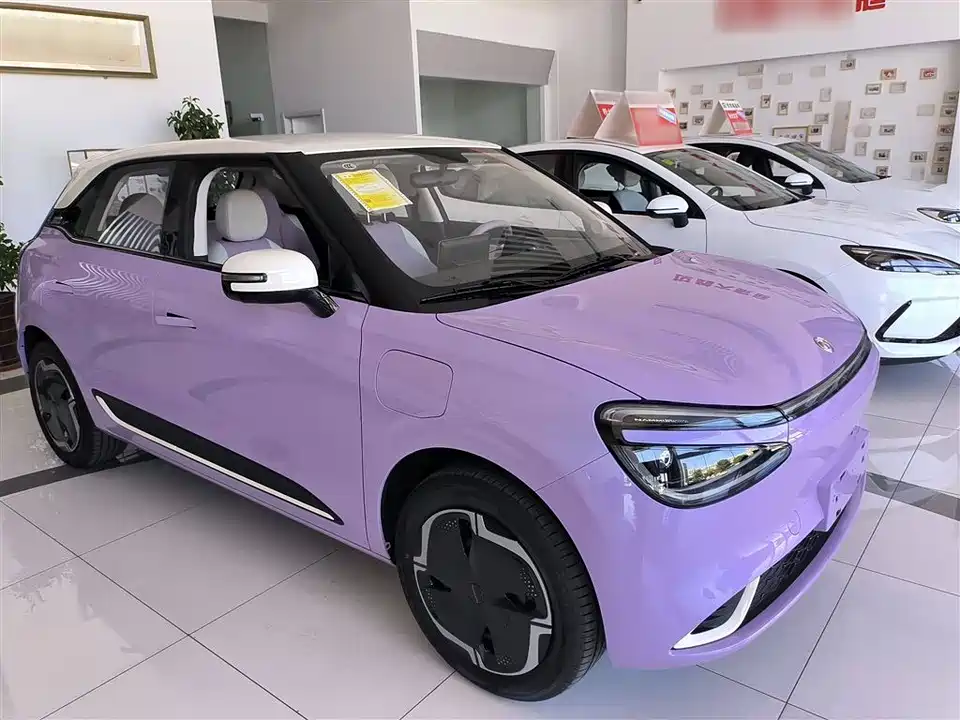 Dongfeng Nammi Nano 01