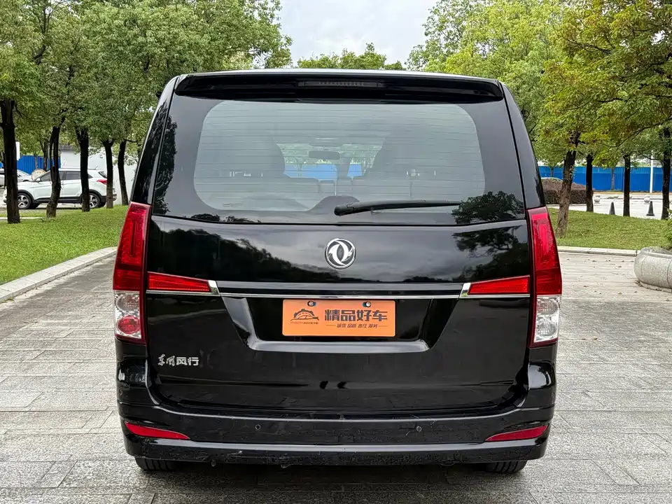 Forthing Lingzhi PLUS