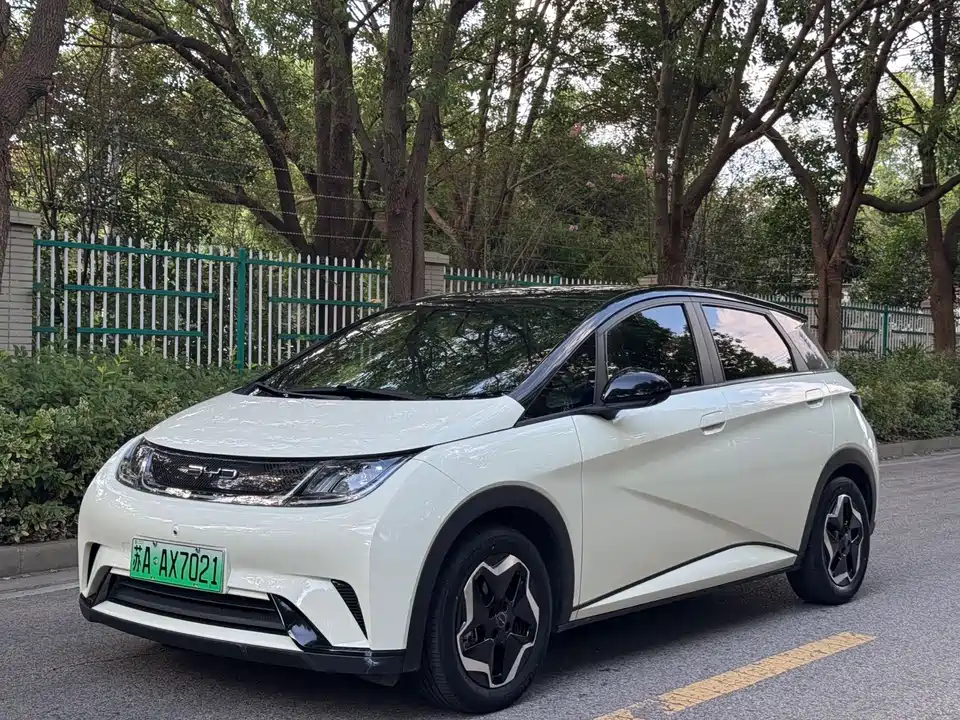BYD dolphin