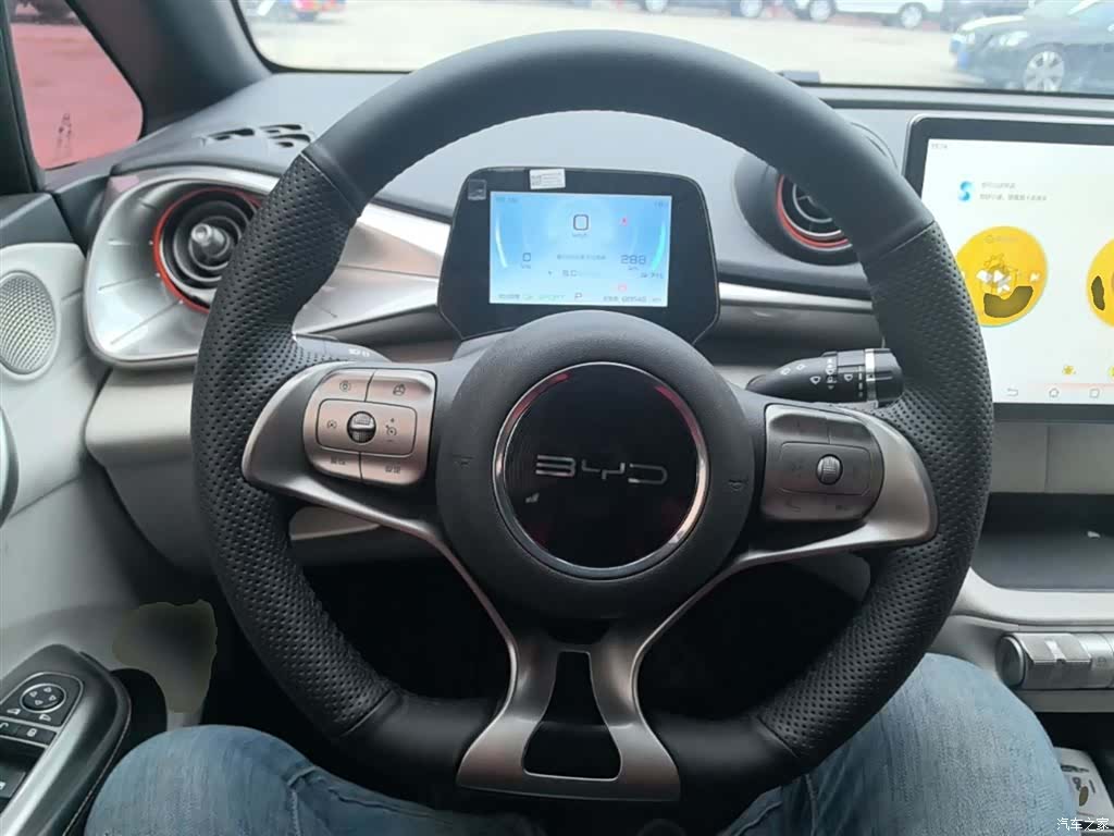 BYD Dolphin, 2021 11