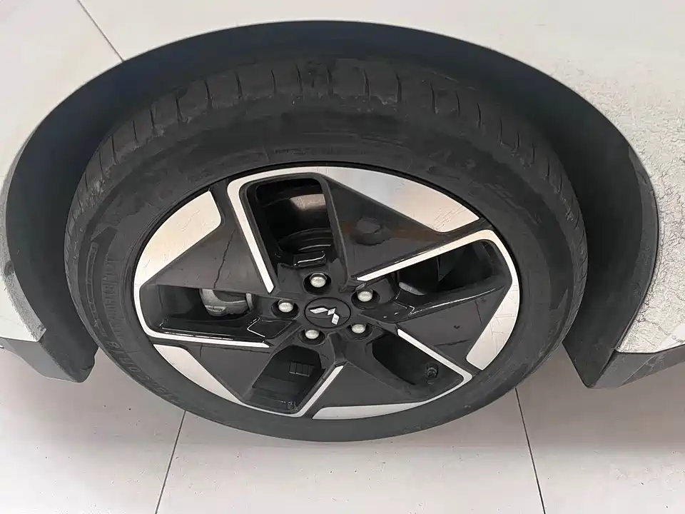 Wuling Wuling Starlight