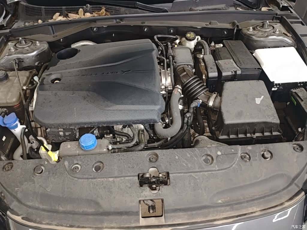 Changan Eado, 2024 20