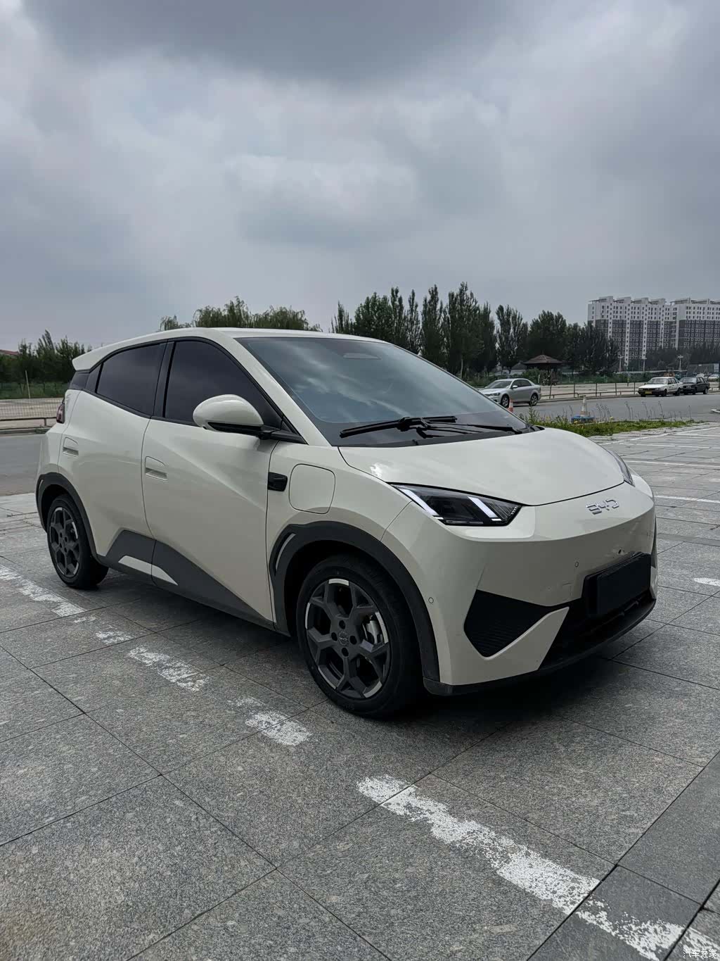 BYD Seagull, 2025 3