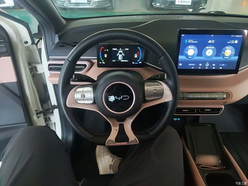 BYD Seagull, 2024 11