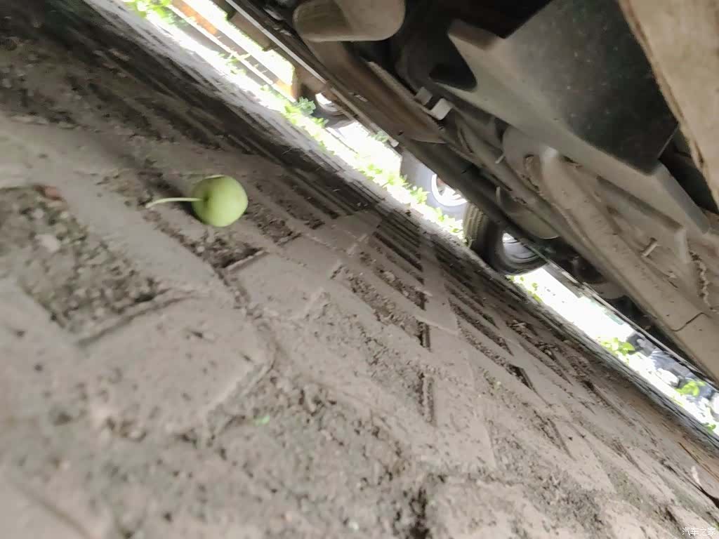 Geely Emgrand, 2023 19