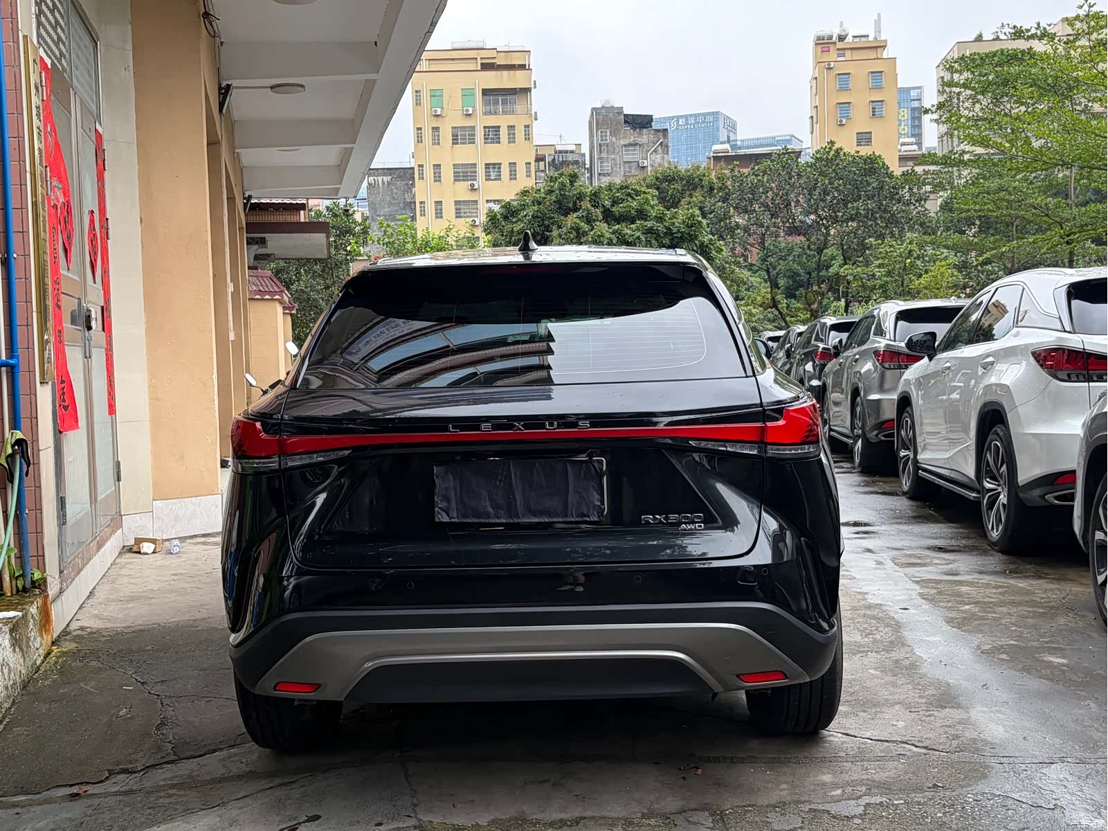 Lexus RX, 2024 9