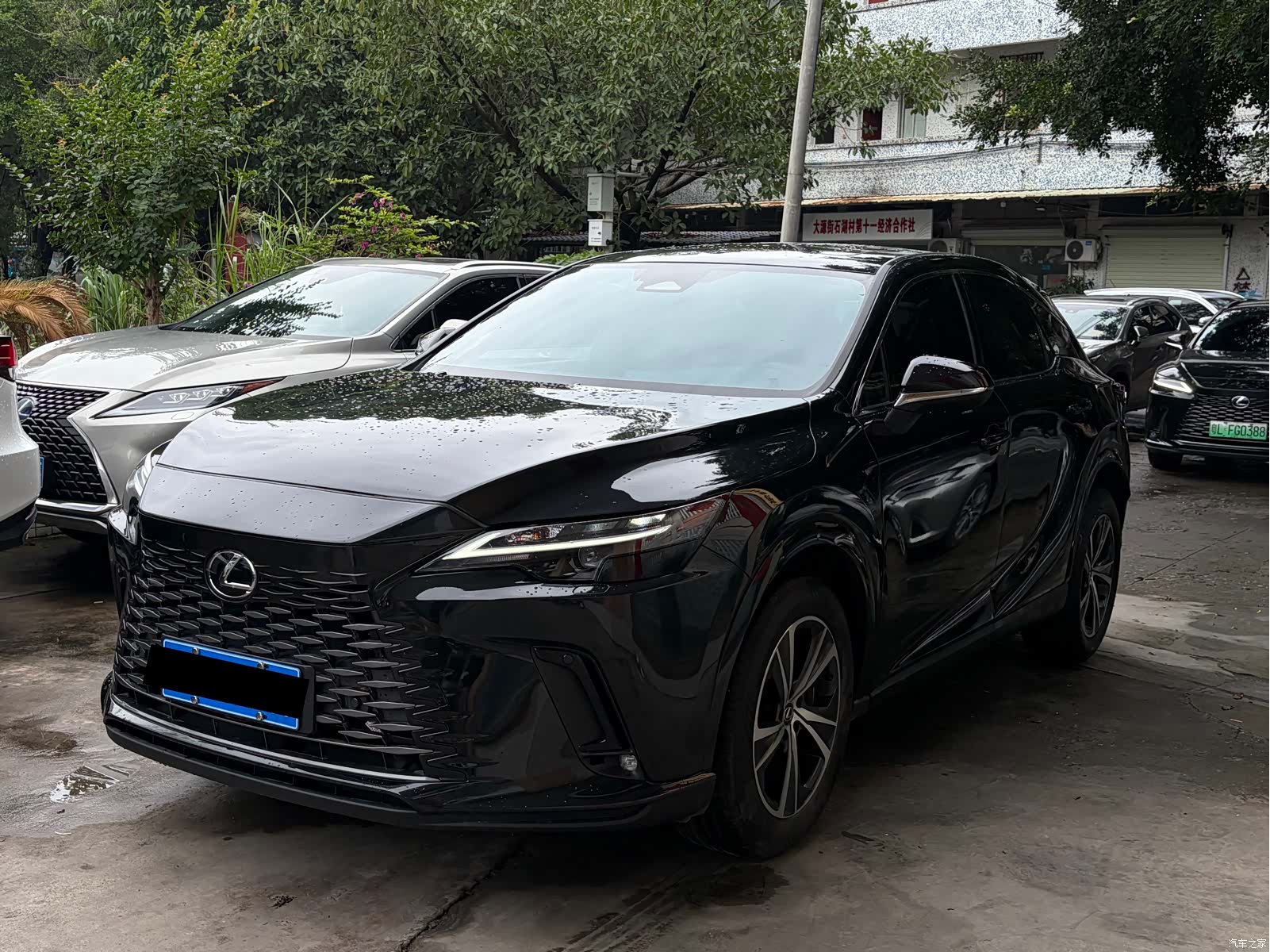 Lexus RX, 2024 1