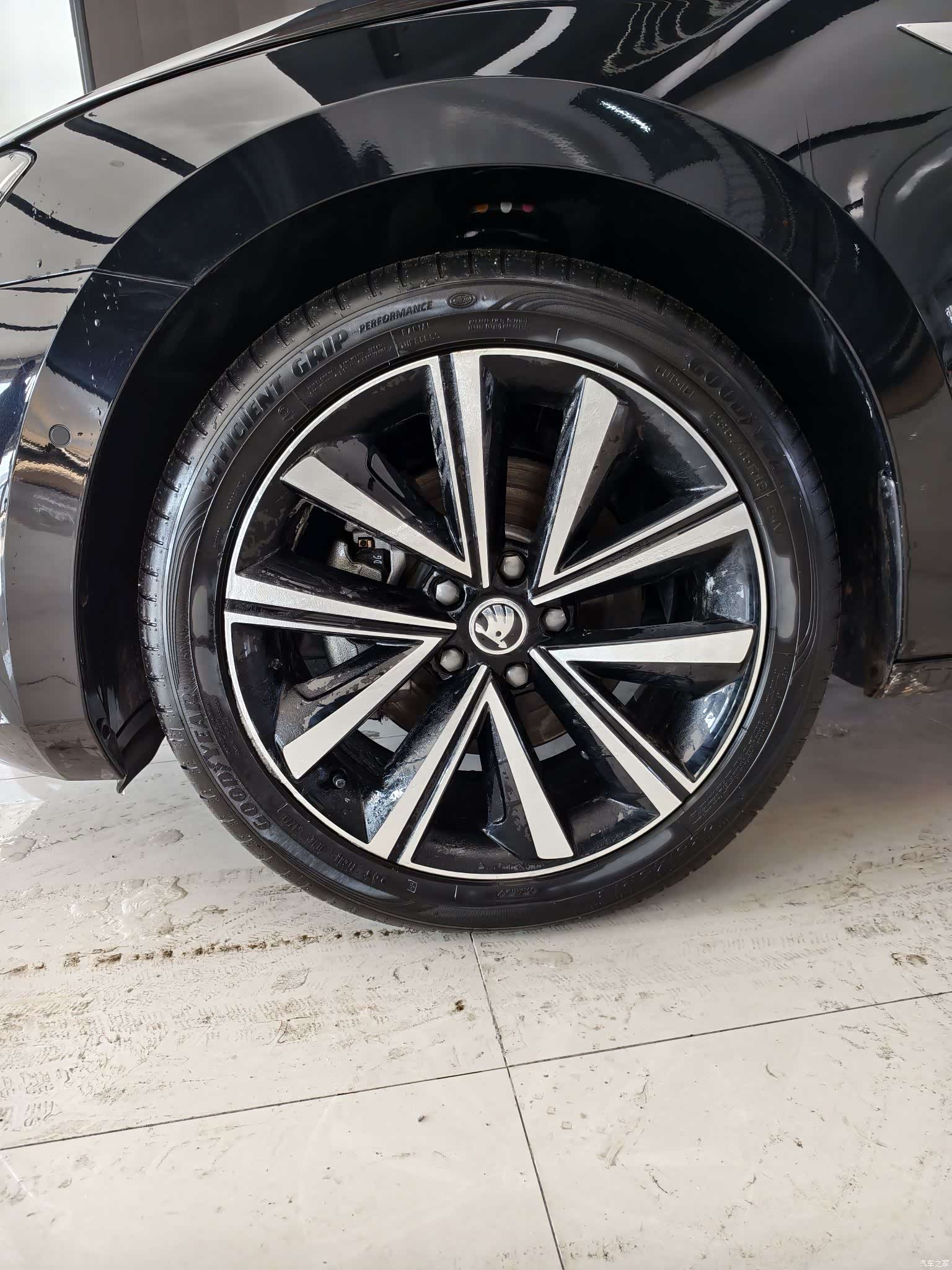 Skoda Superb, 2023 все фото
