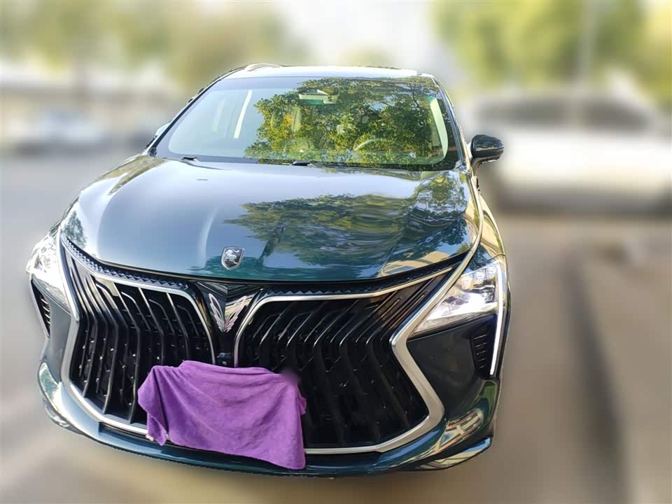 Forthing Popular yachts