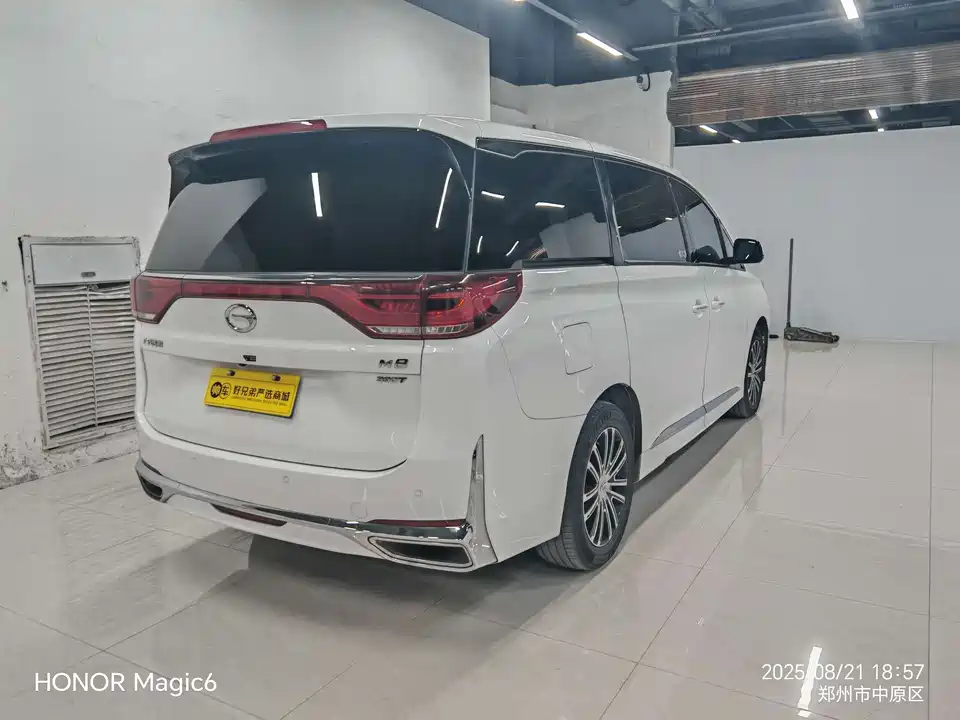 Trumpchi Trumpchi M8