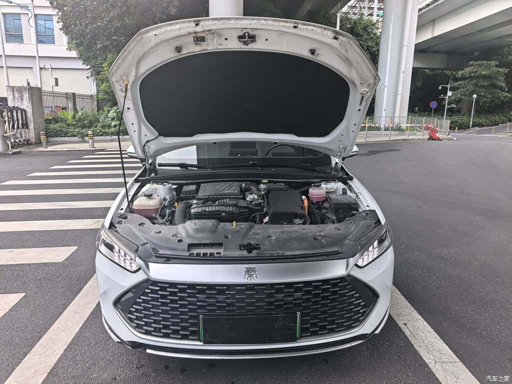 BYD Qin, 2024 19