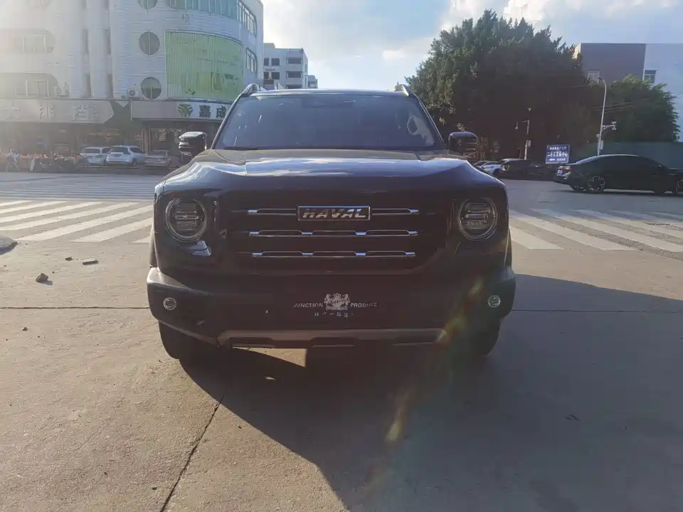 Haval Big dog
