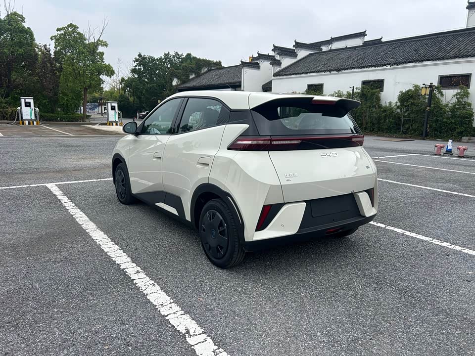 BYD Seagull