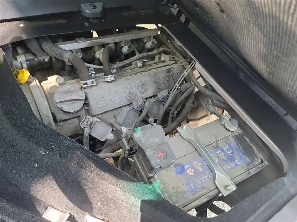 Jinbei Little Sea Lion X30