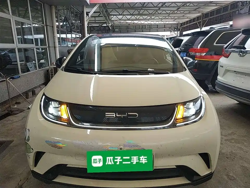 BYD dolphin