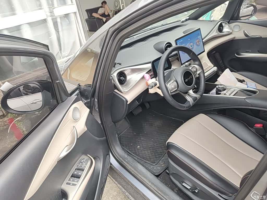 BYD Dolphin, 2024 16
