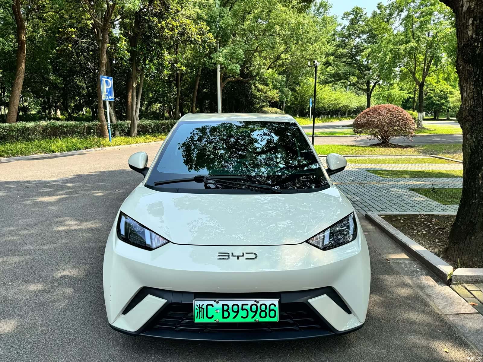 BYD Seagull, 2024 2