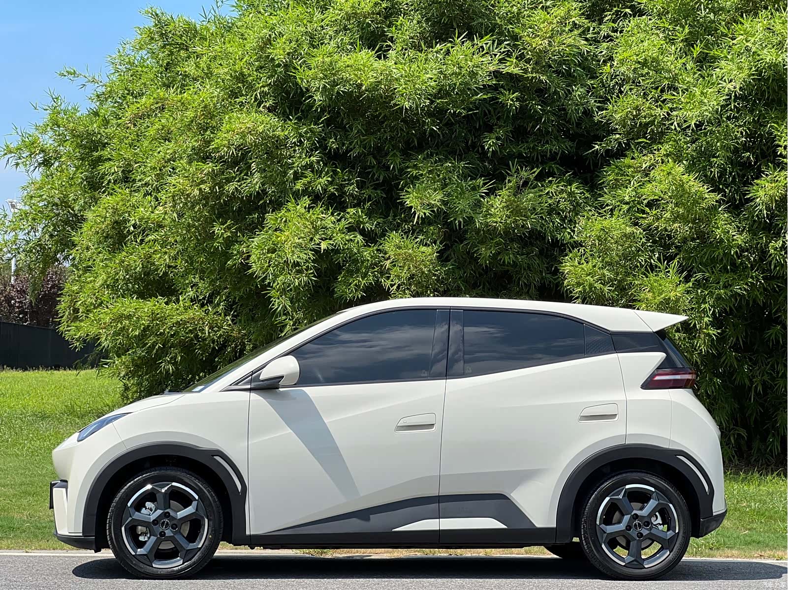 BYD Seagull, 2024 4