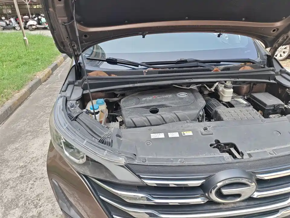 Trumpchi Trumpchi M6