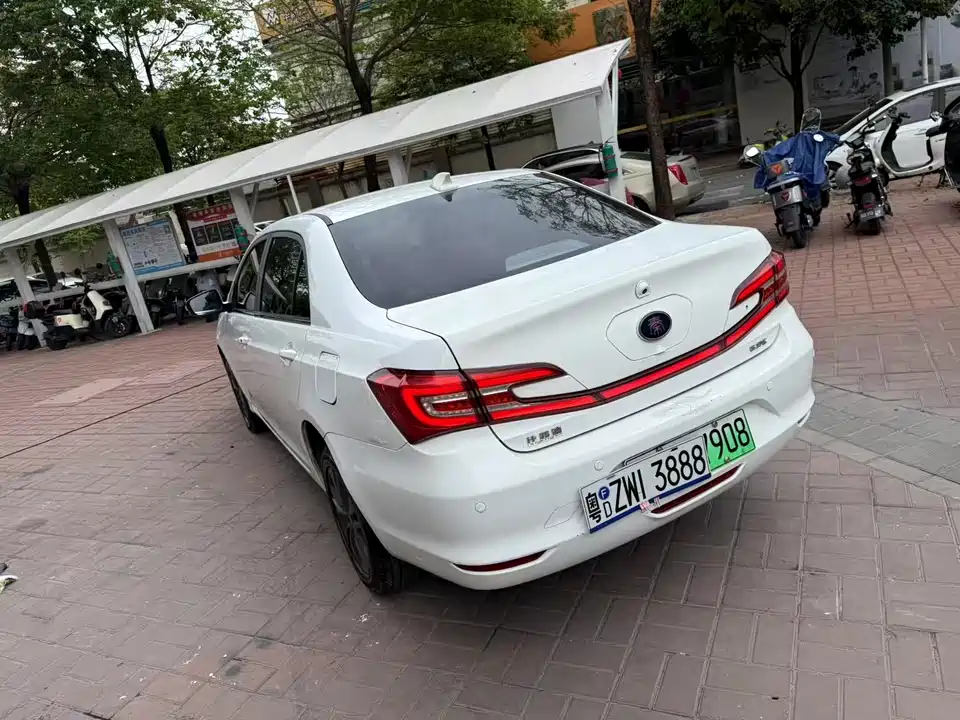 BYD Qinxin Energy
