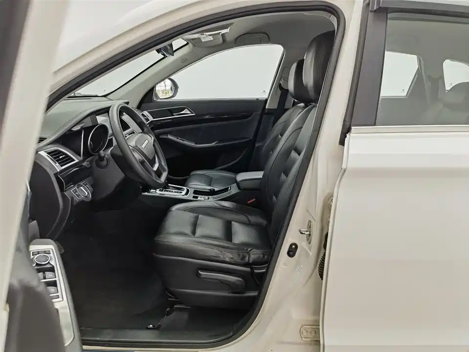 Leopaard Cheetah CS10