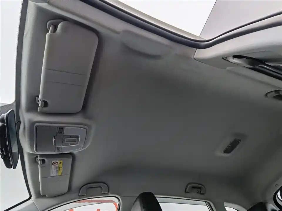 Leopaard Cheetah CS10