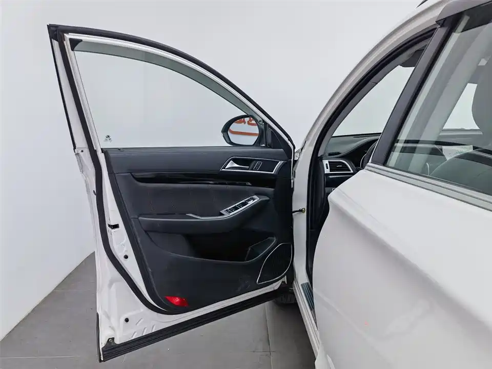 Leopaard Cheetah CS10