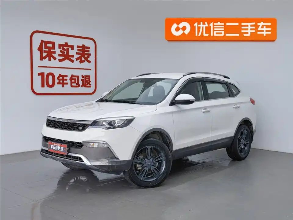 Leopaard Cheetah CS10