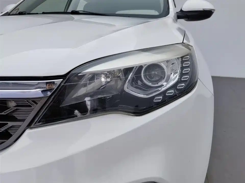 Leopaard Cheetah CS10