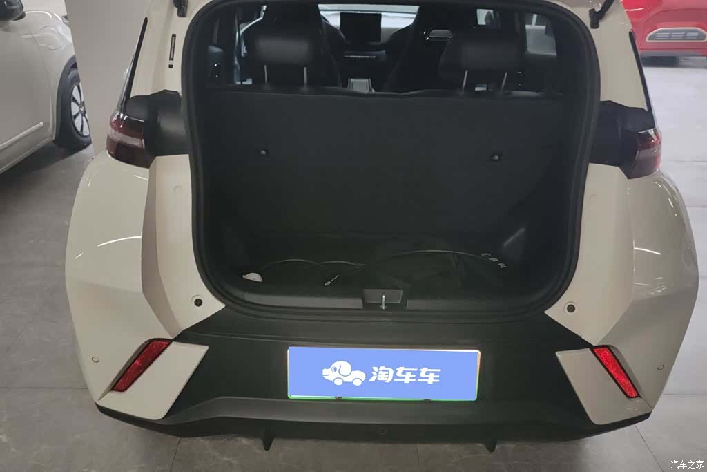 BYD Seagull, 2024 4
