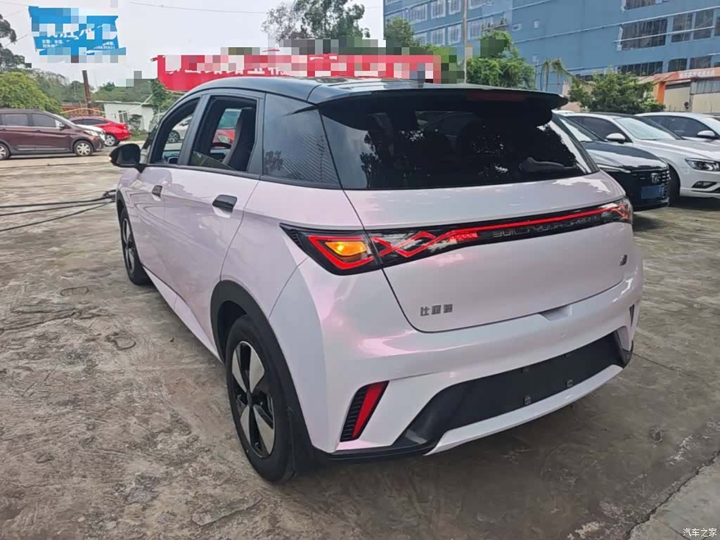 BYD Dolphin, 2023 все фото