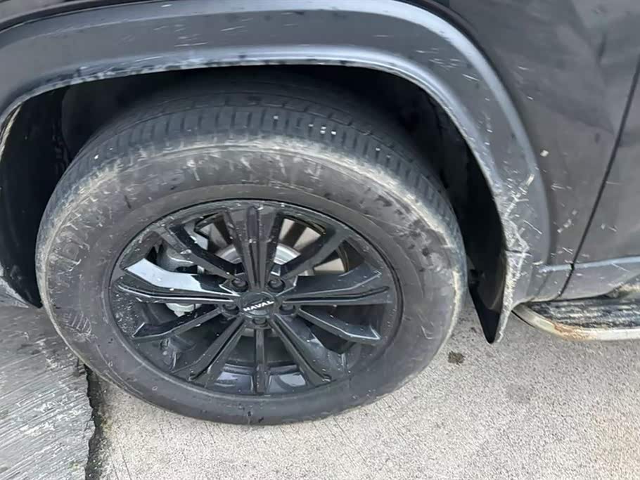 Haval Raptors Haval Raptors