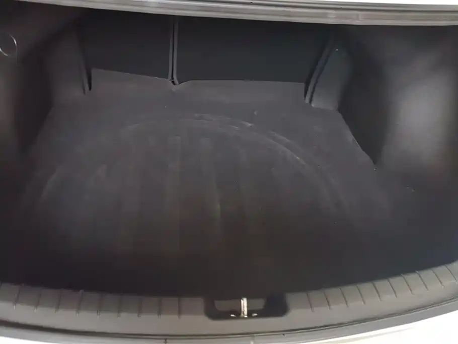 Trumpchi Shadow Leopard