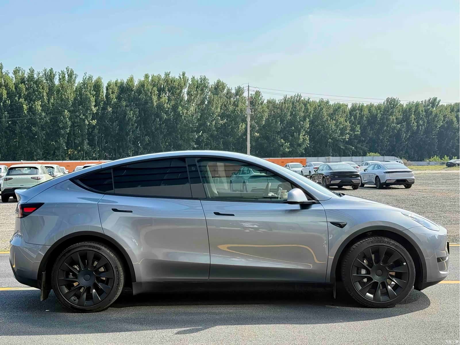 Tesla Model Y, 2024 все фото