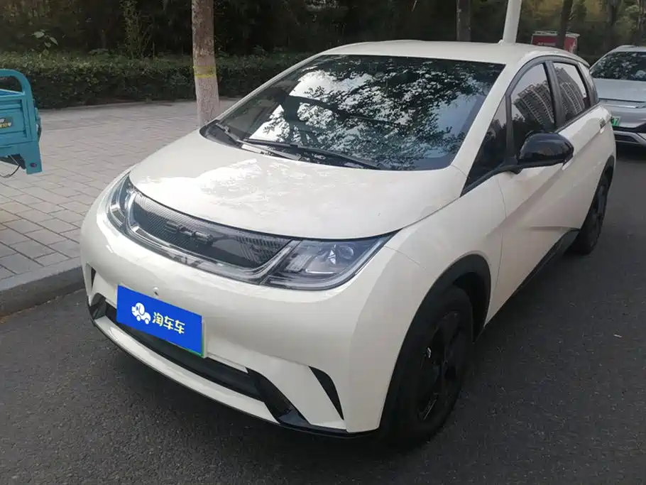 BYD dolphin