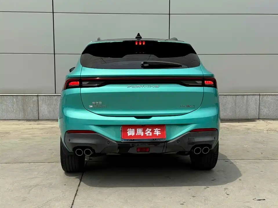 Forthing Popular T5 EVO