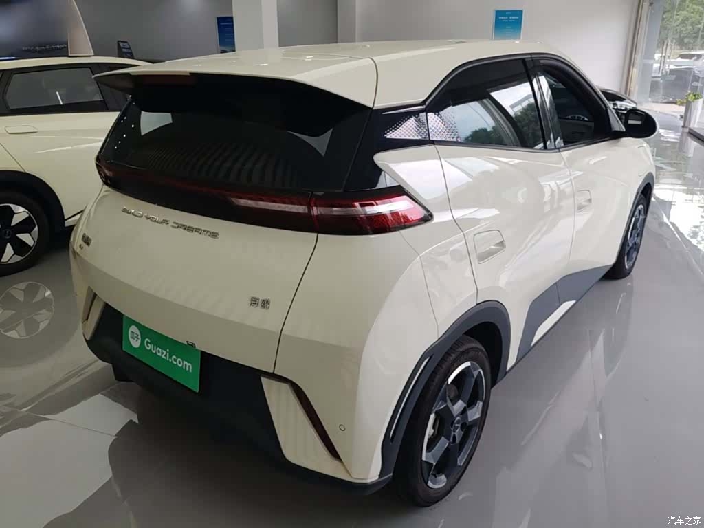 BYD Seagull, 2024 7