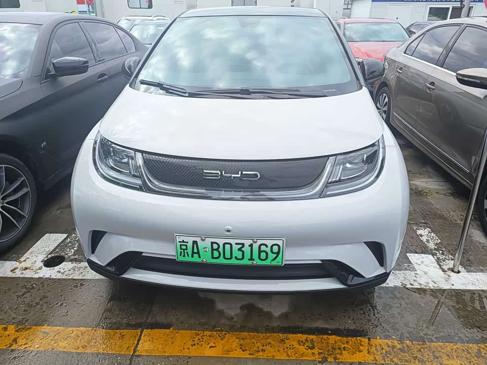 BYD dolphin