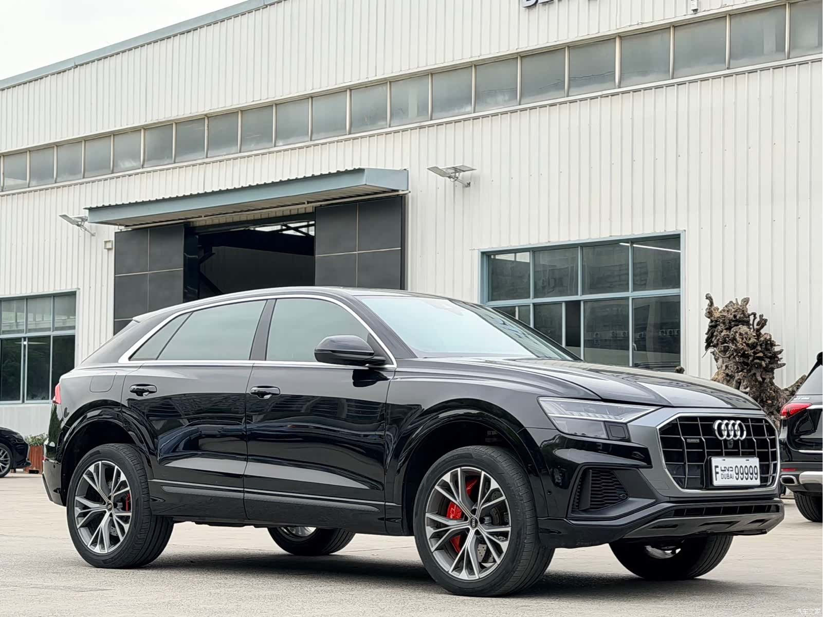 Audi Q8, 2023 все фото