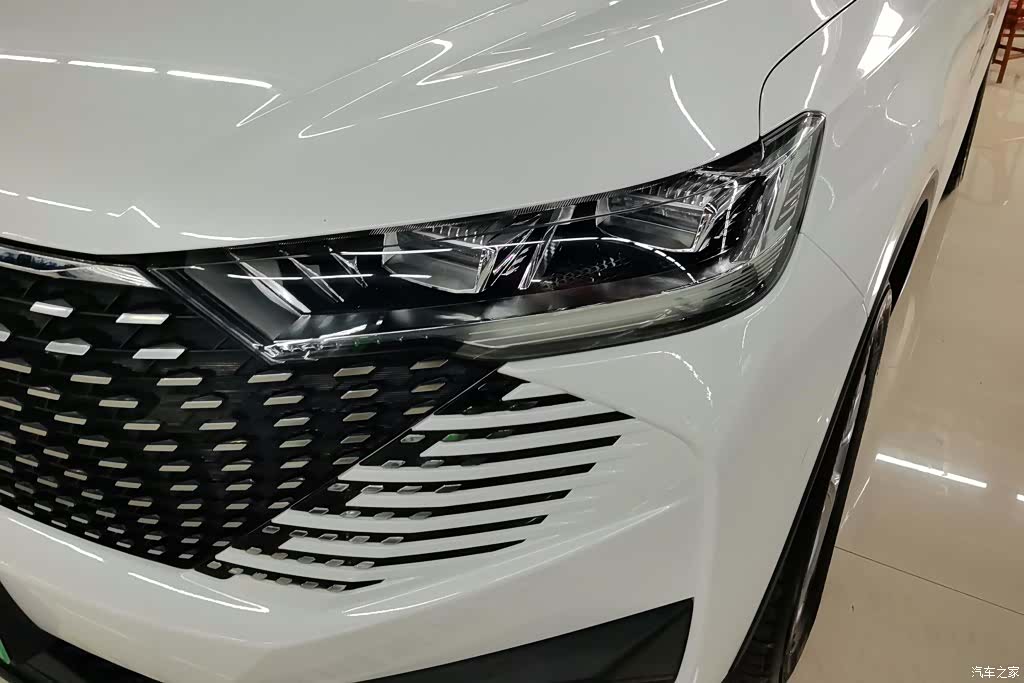 Haval H6, 2023 все фото