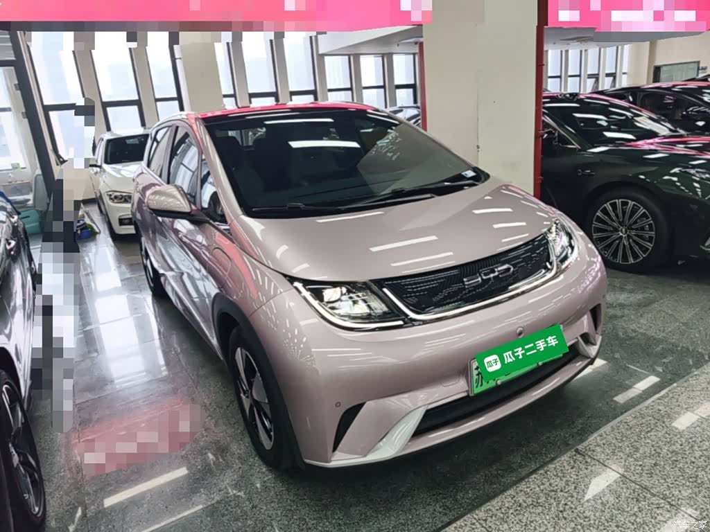 BYD Dolphin, 2023 4